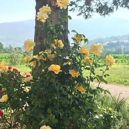 Agroturismo Rosso Porpora *